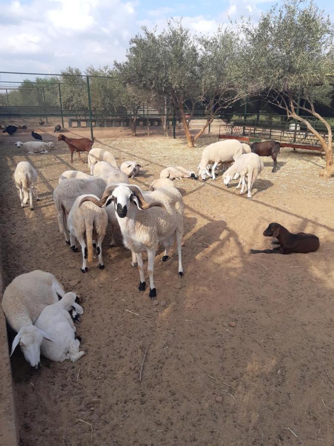 Отель The Farm Марракеш Экстерьер фото